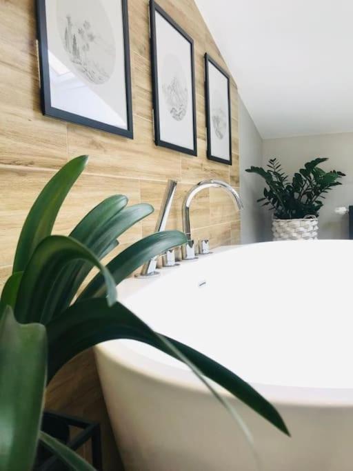 Qwadrat Apartament 15 In Bielsko-Biala City Center Zewnętrze zdjęcie