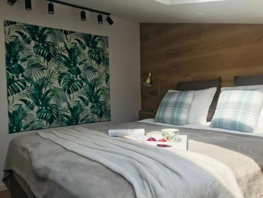 Qwadrat Apartament 15 In Bielsko-Biala City Center Zewnętrze zdjęcie